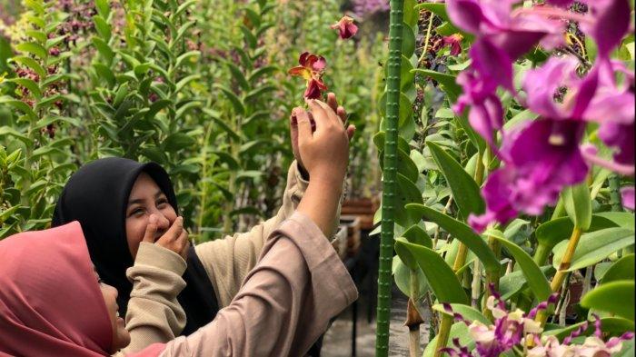 Pengunjung saat melihat keeksotisan bunga anggrek di Kampung Anggrek DD Orchid Nursery Kelurahan Dadaprejo Kecamatan Junrejo Kota Batu.