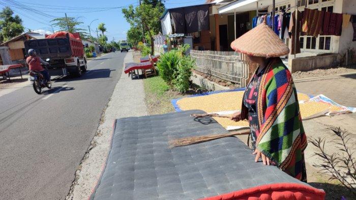 Warga suku Osing di Desa Kemiren, Kecamatan Glagah, Kabupaten Banyuwangi menjemur kasur hitam-merah sebagai rangkaian acara adat Tumpeng Sewu, Kamis (22/6/2023).