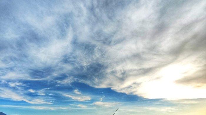 Pantai Taman Kili-kili Trenggalek, salah satu pantai konservasi penyu