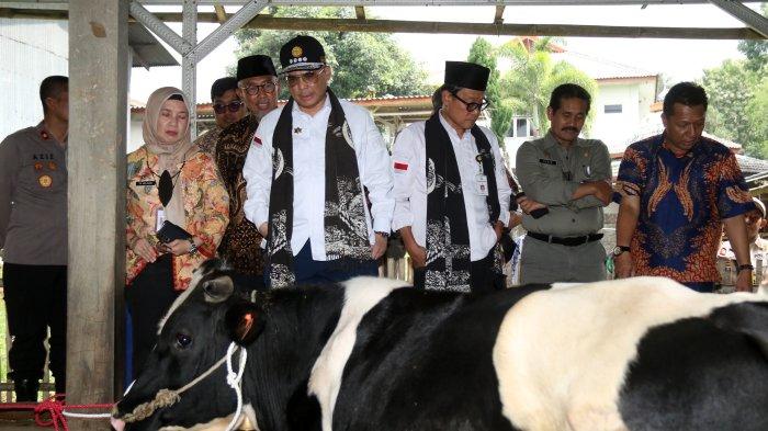 Bangkit Dari PMK, Wamentan Ajak Peternak Melibatkan KUD untuk ...