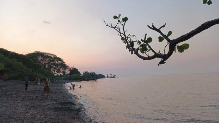 Suasana matahari tenggelam di Wisata Beach Forest Situbondo.