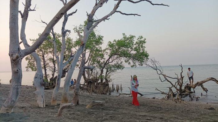 Salah satu tempat di Wisata Beach Forest Situbondo yang kece dijadikan tempat foto.