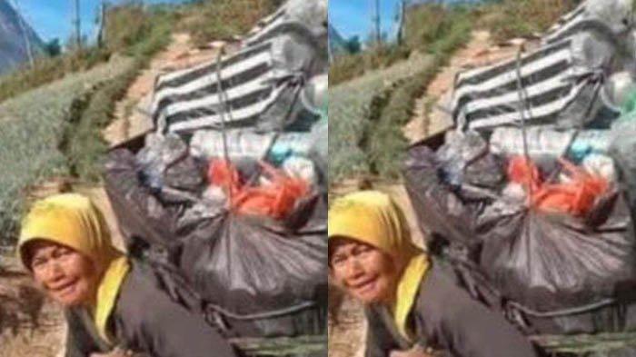 PANGGUL SAMPAH GUNUNG - Momen Mbah Bingah memanggul sampah pendaki di Gunung Merbabu. Kini Mbah Bingah sudah tidak lagi memungut sampah di Gunung Merbabu. Alasan di balik aksinya terungkap.