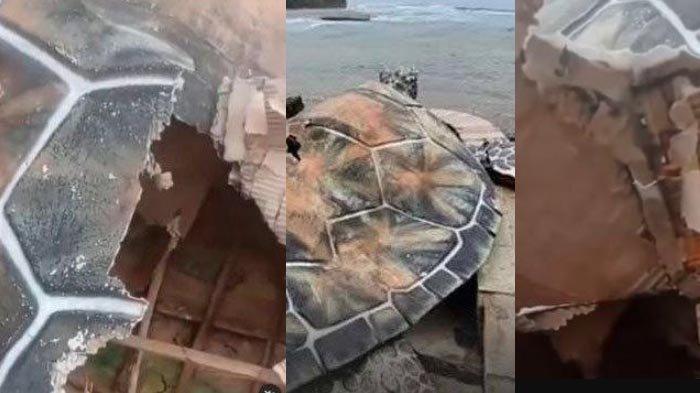PATUNG PENYU SUKABUMI - Tangkapan layar unggahan video akun Instagram  @mood.jakarta, Kamis (6/3/2025). Video menayangkan rusaknya Patung Penyu yang diduga senilai Rp15 miliar di Alun-alun Gadobangkong, Sukabumi. Kini terungkap bahwa anggarannya hanya Rp 30 juta. Pihak proyek angkat bicara.