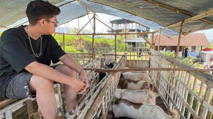 Artis cilik dulu main bareng Raffi Ahmad kini jadi juragan kambing