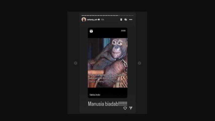 Ashanty ikut mengomentari kasus seekor Orangutan bernama Pony yang dijadikan pekerja seks komersial oleh orang-orang biadab di daerah Kalimantan Tengah.
