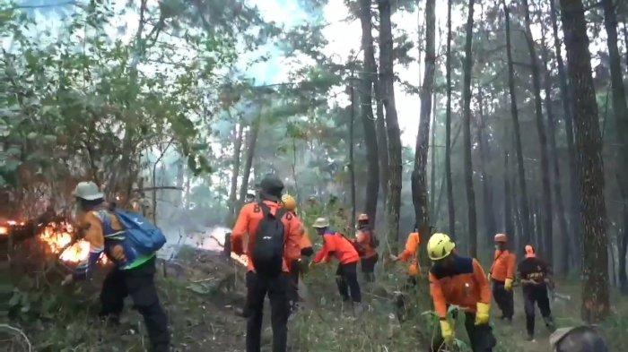 BPBD bersama TNI Polri dan petugas terkait berusaha memadamkan kebakaran yang menghanguskan Gunung Lawu