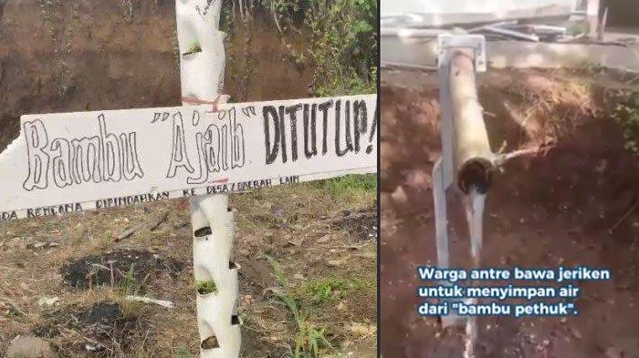 BAMBU AJAIB CIANJUR - Bambu petuk ajaib di Kampung Limbangan, Desa Cikaroya, Kecamatan Warungkondang, Kabupaten Cianjur, Rabu (2/7/2025). Ternyata cuma karya seni yang malah dianggap keramat oleh warga.