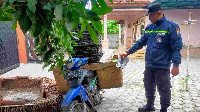 Maling Buah Naga yang Resahkan Petani Banyuwangi Tertangkap, Sempat Kabur Tinggalkan Motor