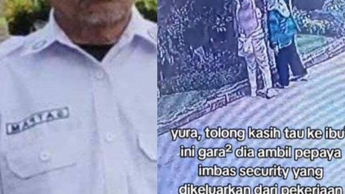 Curhat anak dari satpam yang dipecat gegara buah pepaya dicuri oleh pengunjung ibu-ibu di tempat wisata Bogor. 
