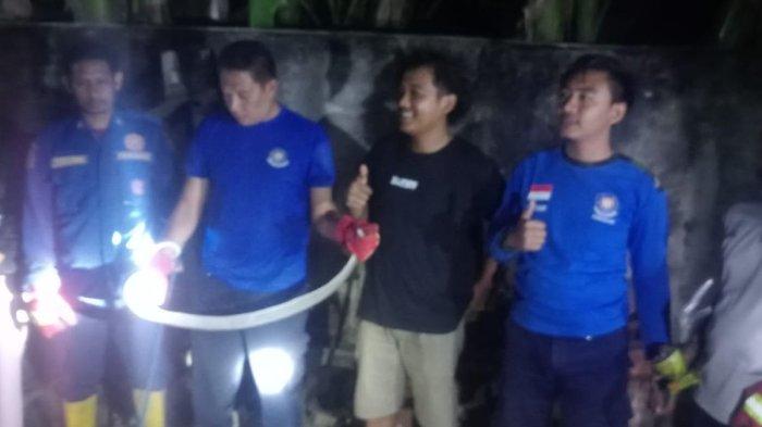 EVAKUASI ULAR KOBRA -  Evakuasi Ular kobra dilakukan Damkartan Sumbawa. Ternyata anggota Damkar ini sudah terlatih, evakuasi hanya membutuhkan waktu 4 menit.