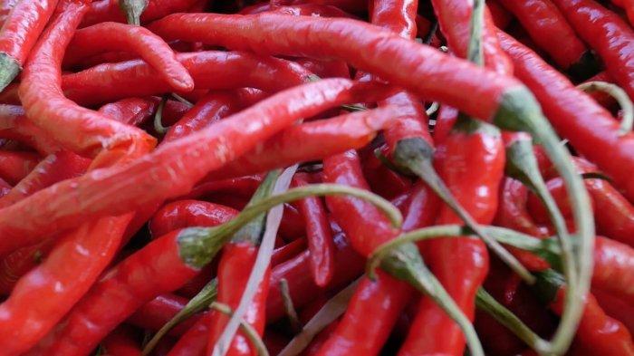 Fasilitas tersebut disiapkan bersamaan dengan pembangunan embung di wilayah setempat, yang difungsikan untuk
meningkatkan produktivitas sektor pertanian.