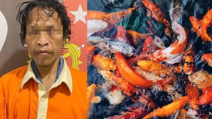 Foto pelaku pencuri ikan mas koi AW (44). Laki-laki pengangguran di Nunukan Kaltara ini kerap melakukan pencurian binatang peliharaan.