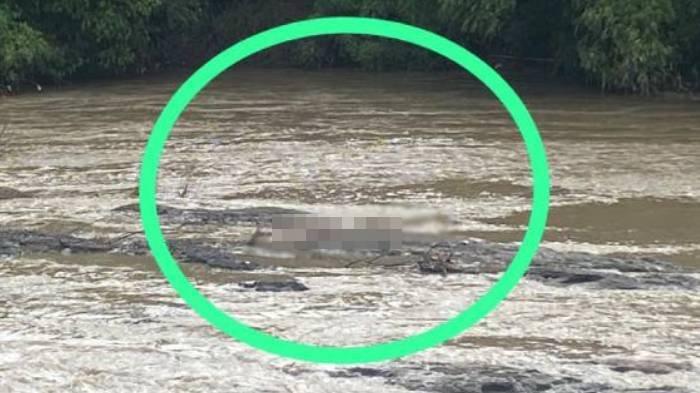 Geger penemuan Jasad perempuan tanpa busana di sungai Desa Sukosari, Kecamatan Babadan, Kabupaten Ponorogo, Kamis (26/12/2024) sore.
