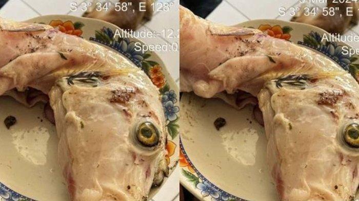 Ikan yang dimakan oleh ibu dan dua anak di Maluku hingga berakhirr meninggal dunia