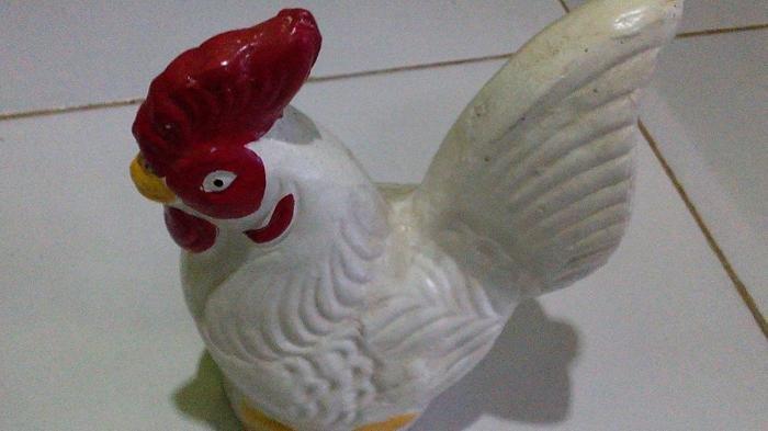 Ilustrasi ayam 