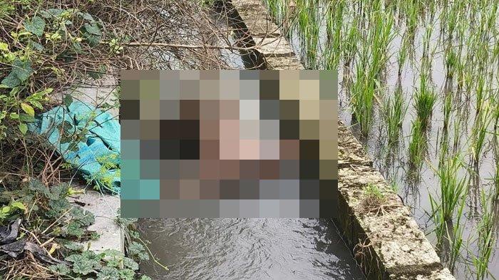 PENEMUAN JASAD TANPA KEPALA - Jasad pria tanpa kepala yang ditemukan berada di saluran irigasi persawahan Desa Dukuharum, Kecamatan Megaluh, Kabupaten Jombang, Jawa Timur pada Rabu (12/2/2025). Polisi masih mengumpulkan sejumlah barang bukti di lokasi kejadian.
