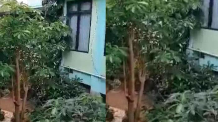 PEGAWAI PUSKESMAS VIRAL - Suasana Puskesmas I Wonosari, Gunungkidul, DI Yogyakarta yang direkam warga saat ada pegawai yang karaoke, Jumat (25/7/2025). Kepala Dinas Kesehatan jelaskan kejadian.