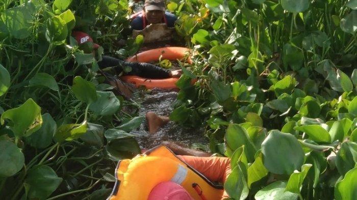 KARDJONO TERJEBAK - Tim gabungan melakukan evakuasi korban yang terjebak di tengah Danau Rawa Pening, Kabupaten Semarang, Selasa (18/3/2025). Korban ditemukan selamat setelah semalaman terjebak di kerumunan eceng gondok.