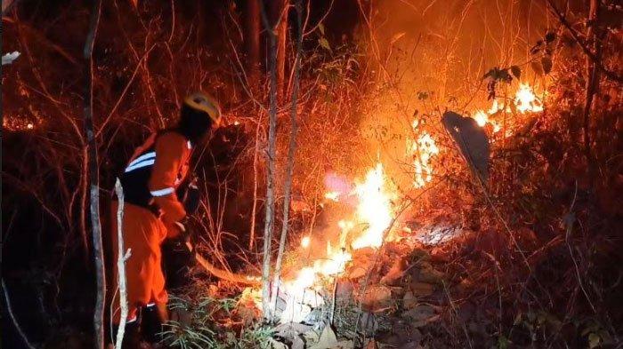 Kebakaran Hutan di Ponorogo Dekati Pemukiman Warga di desa Muneng kecamatan Balong Ponorogo, Kabupaten Ponorogo.