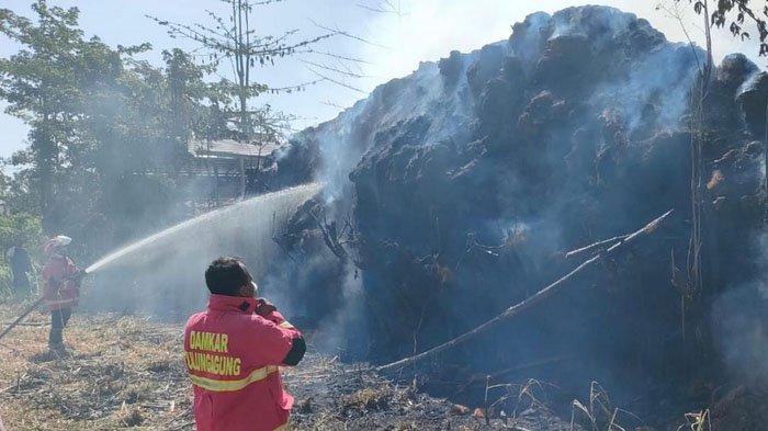 Kebakaran melanda limbah sisa pengolahan sabut kelapa milik Fakih Pamungkas di Lingkungan 01, Dusun Mbodog, Desa/Kecamatan Ngunut, Tulungagung, Jawa Timur, Senin (26/8/2024).