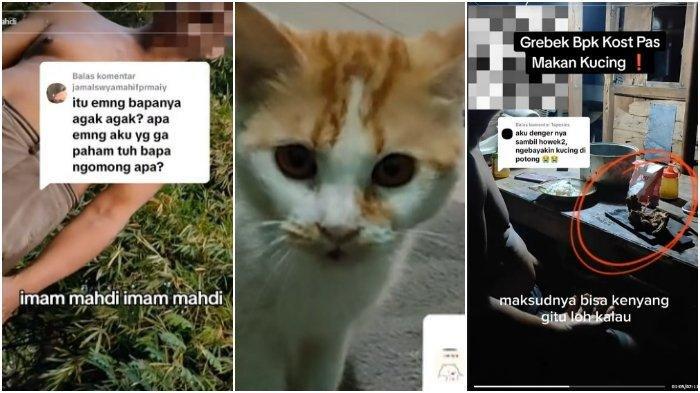 Kejiwaan Yanto Bapak Kos yang Makan Kucing 10 Tahun untuk Diabetes, Disnakkeswan: itu Tidak Lazim