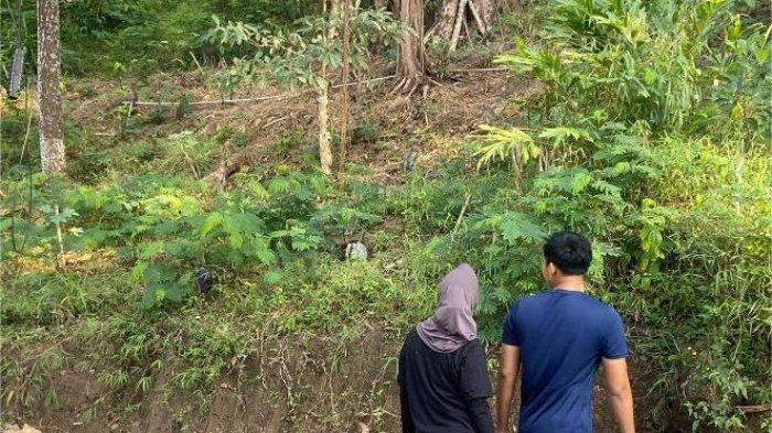 Musim kemarau, monyet ekor panjang turun gunung ke Telaga Ngebel, Senin (29/7/2024) sore.