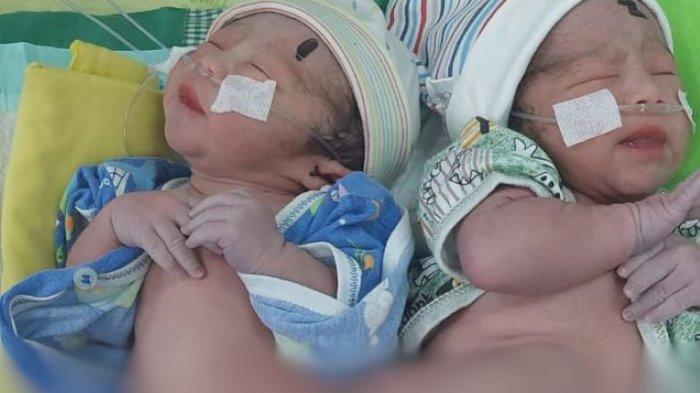 Kondisi bayi kembar siap yang tengah dirawat RSUD dr Iskak Tulungagung, Selasa (23/4/2024)
