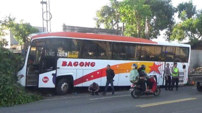 Kondisi bus Bagong yang menabrak pohon usai terlibat kecelakaan lalu lintas di Jalur mudik, Sabtu, (6/4/2024).