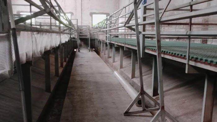 Lokasi Kandang Kambing yang Dikeluhkan Warga Sekitar Karena Kerap Timbulkan Bau Busuk