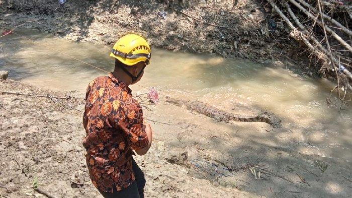 Titik lokasi penangkapan satu ekor buaya di Sungai Prudung Desa Kebonagung, Bojonegoro, Jumat (16/2/2024) pagi.