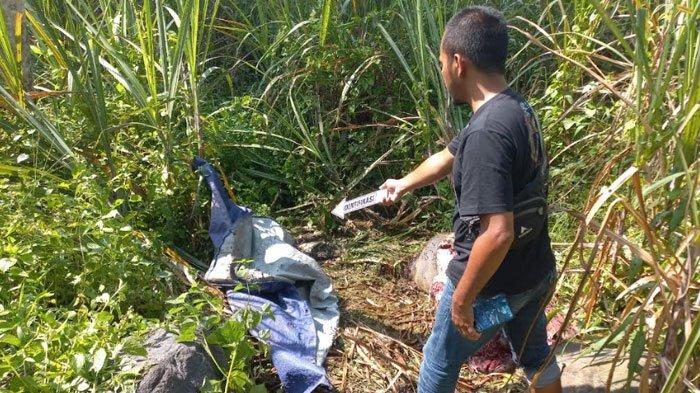 PENCURIAN TERNAK - Lokasi penemuan kerbau yang ditemukan menyisakan jerohan dan tukang di Pasrujambe, Kabupaten Lumajang, Jawa Timur, Jumat (28/3/2025). Pencurian hewan ternak dengan modus sembelih di tempat lagi marak di Lumajang.