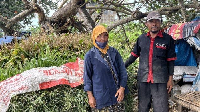Pedagang rumput pakan ternak, Mariono dan ibunya, Sunari saat ditemui alan Dr. Wahidin, Desa Gondanglegi Wetan, Kecamatan Gondanglegi, Kabupaten Malang, Jawa Timur, Selasa (28/1/2025). Mariono banting stir dari pegawai koperasi menjadi pedagang rumput untuk pakan ternak.