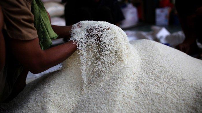 HARGA BERAS - Menteri Pertanian (Mentan) Amran Sulaiman mengungkapkan hasil investigasi permasalahan harga beras. Investigasi ini melibatkan Satuan Tugas (Satgas) Pangan Mabes Polri, dan kementerian/lembaga terkait. Ternyata ditemukan kerugian masyarakat Rp 99,35 trilun.
