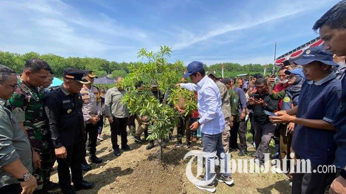 Menteri Lingkungan Hidup, Hanif Faisol Nurofiq saat penanaman pohon di Desa Nginden, Ponorogo, Jawa Timur, Sabtu (21/12/2024).