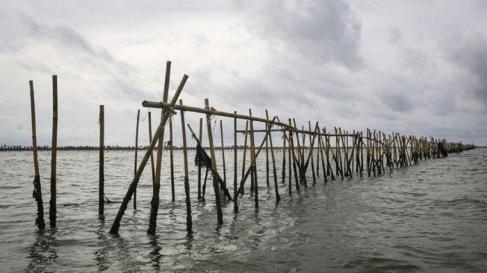 Pagar laut di kawasan pesisir Kabupaten Tangerang yang ramai menjadi perbincangan.