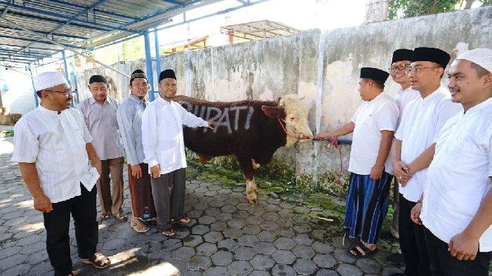 Pemkab Banyuwangi Salurkan 60 Hewan Kurban, Bupati Ipuk: Semoga Berkah