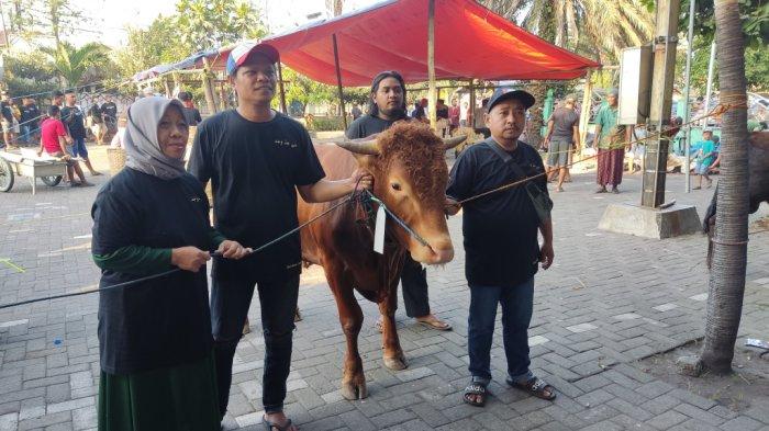 Pemuda Greges Timur kurban sapi patungan pada Hari Raya Idul Adha 2023