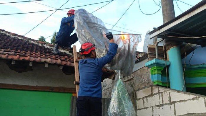 Petugas pemadam kebakaran Trenggalek mengevakuasi balon udara yang terbakar di atap rumah warga Desa Ngulankulon, Kecamatan Pogalan, Kabupaten Trenggalek, Sabtu (16/3/2024).