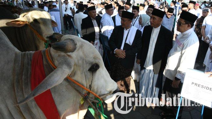 Pj Gubernur Jatim, Adhy Karyono pada prosesi penyerahan sapi kurban Idul Adha 1445 H dari Presiden Joko Widodo usai salat Idul Adha di Masjid Nasional Al-Akbar Surabaya (MAS), Senin (17/6/2024). Sapi yang didatangkan dari Desa Takerharjo, Solokuro, Lamongan, Jawa Timur, ini berjenis sapi po (peranakan ongole) berumur lima tahun dengan berat 1.010 kilogram.