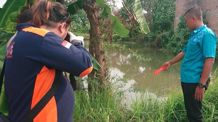 Polisi melakukan olah TKP di sawah Desa Purworejo, Kecamatan Ngunut, Tulungagung, Jawa Timur, yang menjadi lokasi U (18) ditemukan tewas, Jumat (8/11/2024).