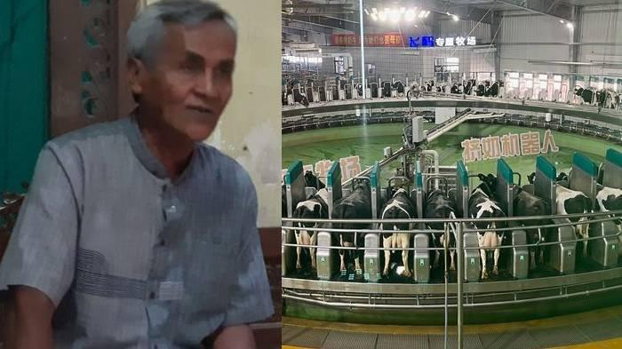 Pramono (67), pemilik UD Pramono, pengepul susu sapi ditemui di rumahnya di Desa Singosari, Kecamatan Mojosongo, Boyolali, Jawa Tengah, Senin (4/11/2024).