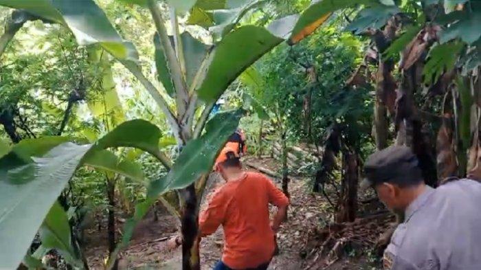 Proses Pencarian Balita Berusia 4 Tahun di Wonosalam yang Hilang Dilakukan Tim Gabungan.