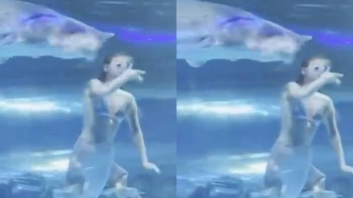 PUTRI DUYUNG DICAPLOK IKAN - Tangkapan layar detik-detik ikan menggigit Masha, petugas yang sedang berenang di dalam akuarium saat menghibur pengunjung.
