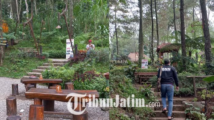 Suasana Kedai Hutan Cempaka, Pasuruan, Rabu (13/7/2022) sore. Rasakan pengalaman nongkrong cantik di Kedai Hutan Cempaka. Suasa syahdu di tengah hutan.