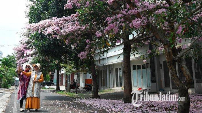 Ramalan Cuaca Jatim Senin 27 Oktober 2025,Waspada Hujan dan Petir di Sejumlah Daerah Jawa Timur