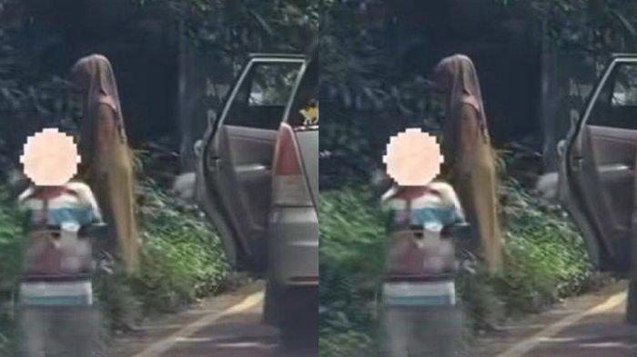 PENGUNJUNG TAMAN SAFARI - Aksi dua wanita membawa keluar tiga bocah dari mobil di area terlarang Taman Safari menjadi perhatian. Padahal di sekitar mereka terpampang papan larangan. Pihak Taman Safari memberikan sanksi.