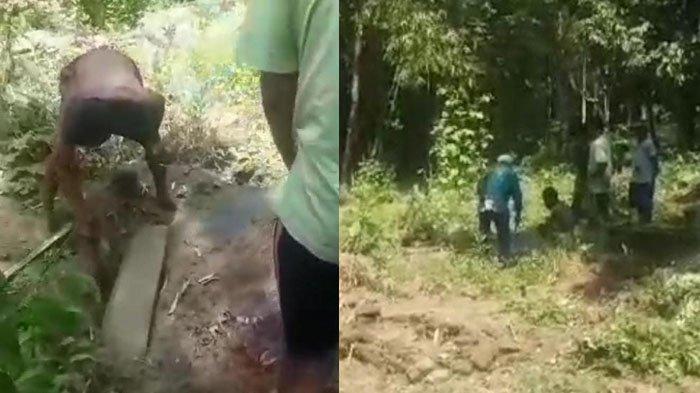Tangkapan layar dua makam di Jember yang terbongkar secara misterius, Senin (21/8/2023).