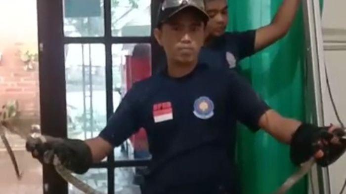 Tangkapan layar video tim Damkar saat melakukan evakuasi ular di rumah Alfiab, Desa Kalitapen, Kecamatan Tapen.
