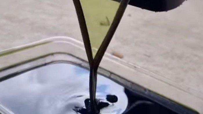 Viral warna oli mesin disebut berubah karena Pertamax
